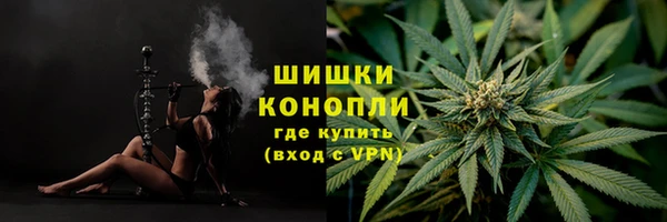 а пвп мука Богданович