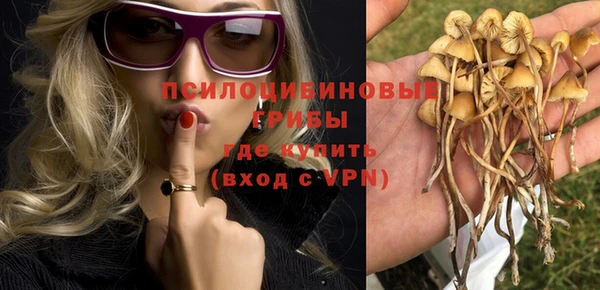 а пвп мука Богданович