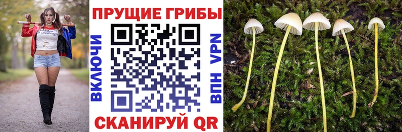 Купить где  Салехард  Галлюциногенные грибы Magic Shrooms 