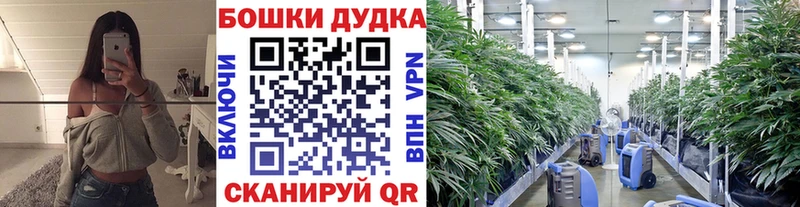 Канабис ГИДРОПОН  Купить где  Салехард 